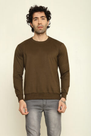 176669049331482302022.jpg Absqura Solid Sweatshirt Olive Green